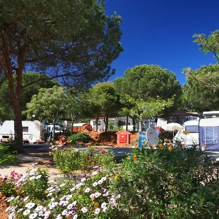 Spacieux 8 Pers Avec Terrasse - - Api-1-52-1889 Marbella